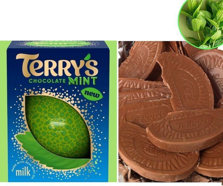 Шоколадний апельсин Terry's Chocolate Mint Milk молочний шоколад з м'ятою 145 г 112141 фото